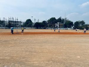 Cricket